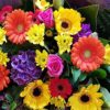 Colourful Greetings