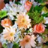 Day dream flower