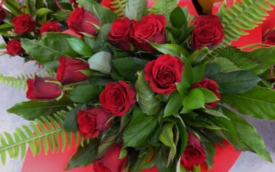 Red roses and foliage