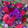 Gypsy Rose