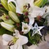 Florist Hello Xmas