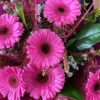 Florist Daisy Chain